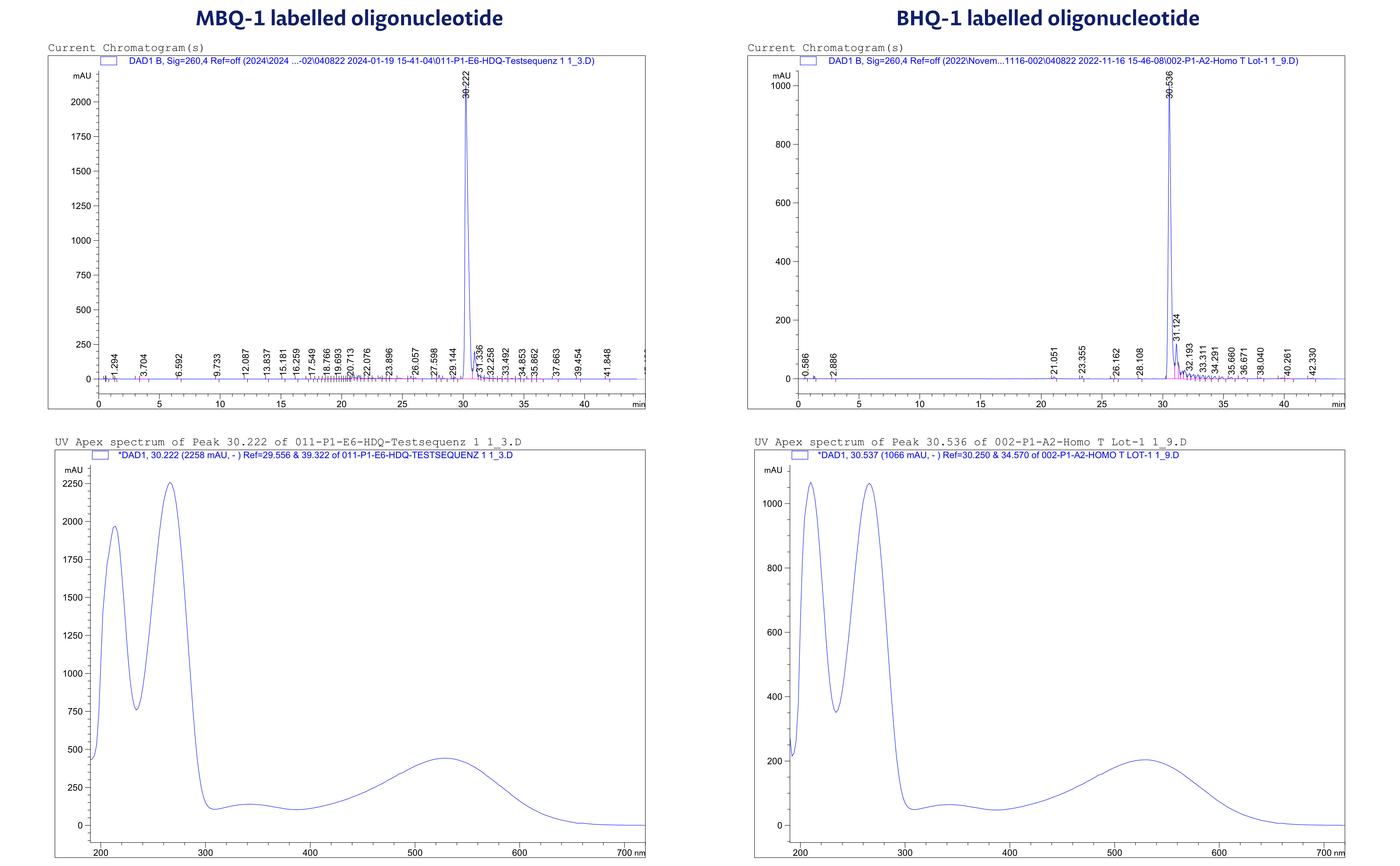 Figure 2. Absorbance spectra of MBQ-1- and BHQ-1-labelled oligonucleotides. As visible, the absorbance max of MBQ-1 is 534 nm, exactly as its counterpart BHQ-1.