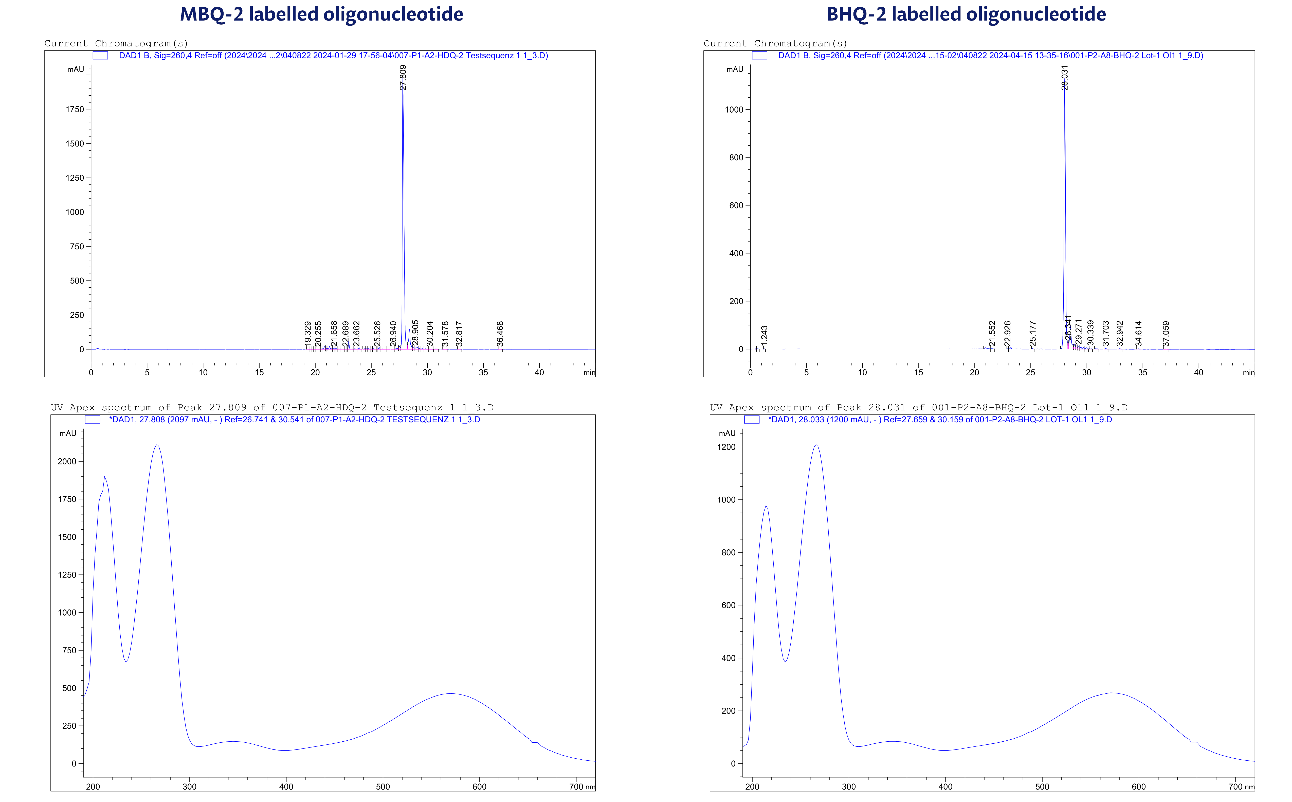 Figure 4. Absorbance spectra of MBQ-2- and BHQ-2-labelled oligonucleotides. As visible, the absorbance max of MBQ-2 is 579 nm, exactly as its counterpart BHQ-2.